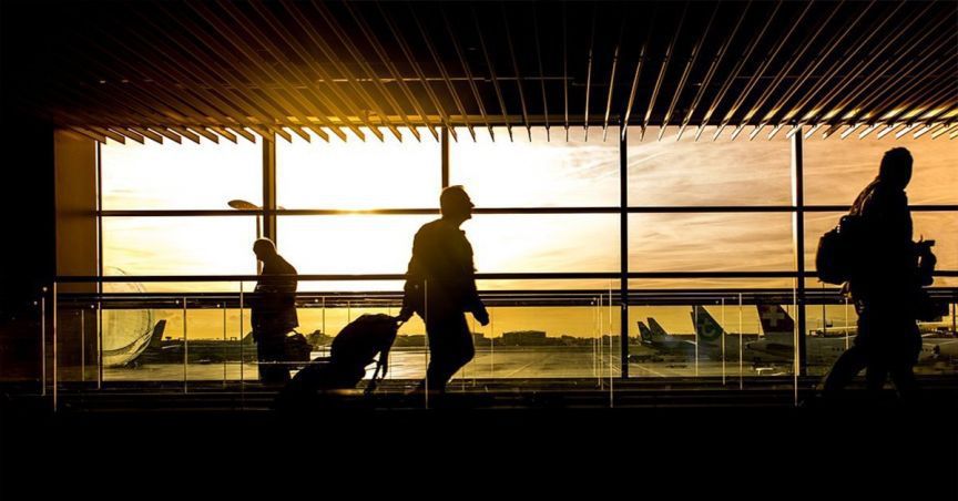 Auckland International Announces February 2019 Monthly Traffic Update