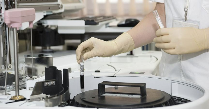 IMC’s Shares Uplifted On ASX After Receiving R&D Tax Concession Refund Of $1.19 Million