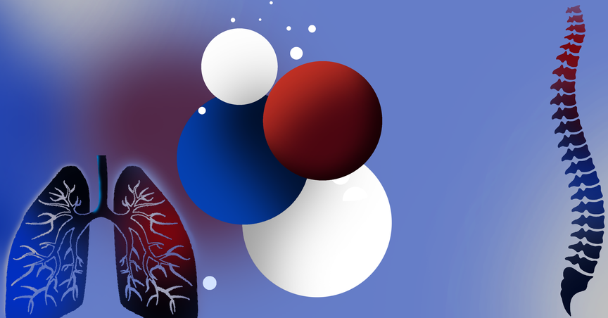  Aroa Biosurgery (ASX:ARX) Projects Up to NZD 100M Revenue in FY26 on Myriad™ Sales Momentum 