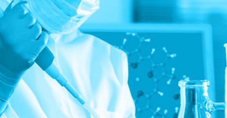  Noxopharm – A Lens Over Its Clinical Trials For The Treatment Of Prostate Cancer 