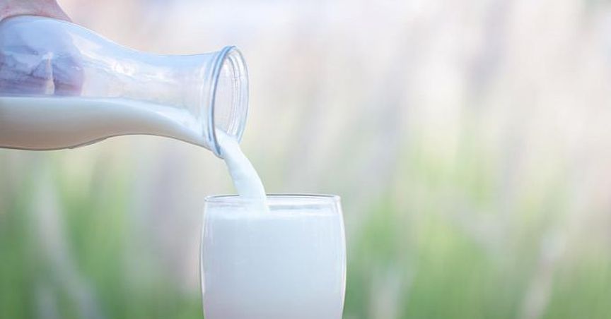  What Is Making Fonterra Take A Spotlight Today? 