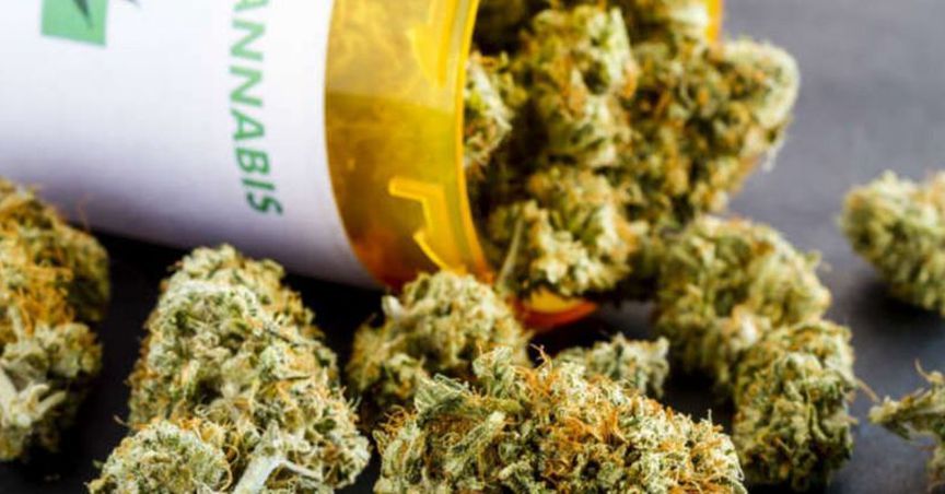Althea Group Receives Its Largest Medicinal Cannabis Shipment From Canadian Aphria Inc