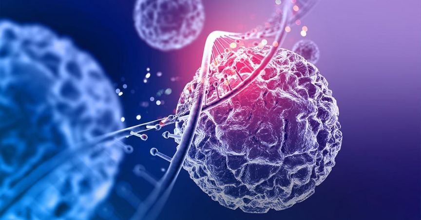  Noxopharm Advances One-Step up on Its Cancer Management Program 