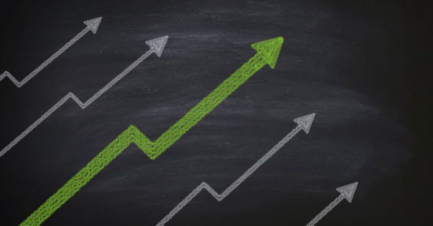 NWF's Share Price Climbed Up By 37.5% After The Company’s Presentation.