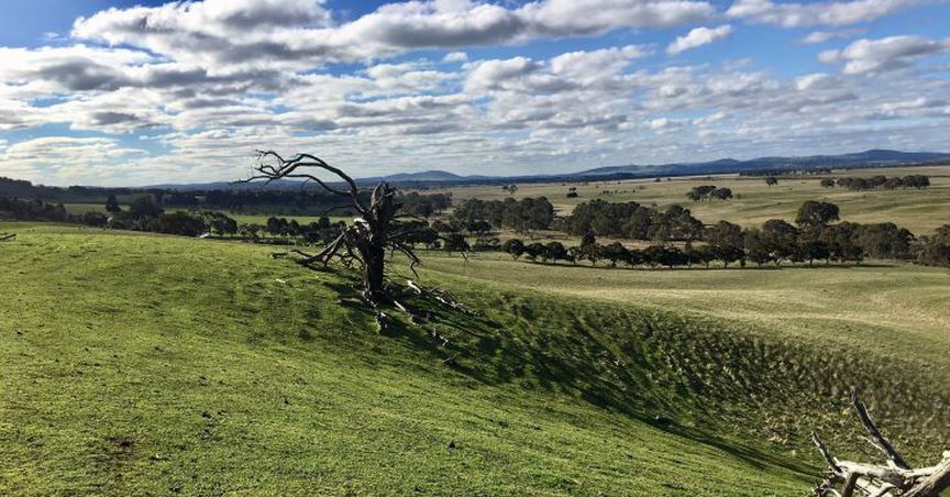 NML’s Langi Logan Project Reports Success In Major High-Grade Gold Discovery