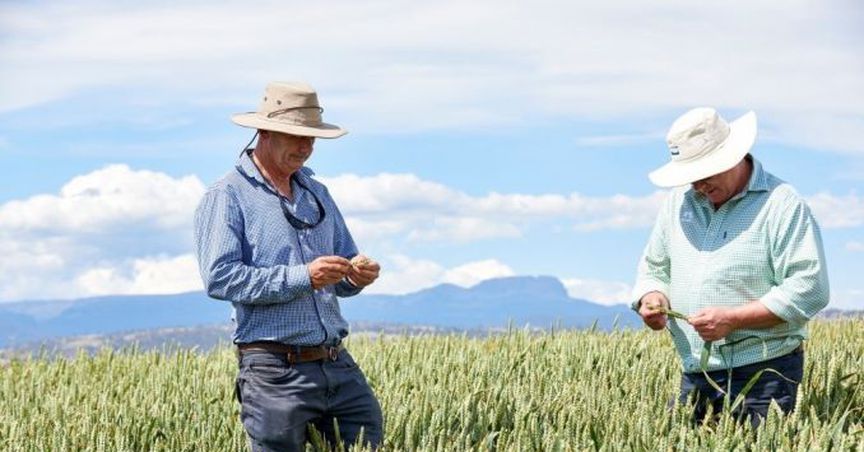  How is Nufarm looking at the moment? 