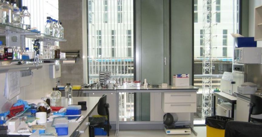  OncoSil Medical Receives The Recommendation From BSI; Stock Price Dives 69.38% 