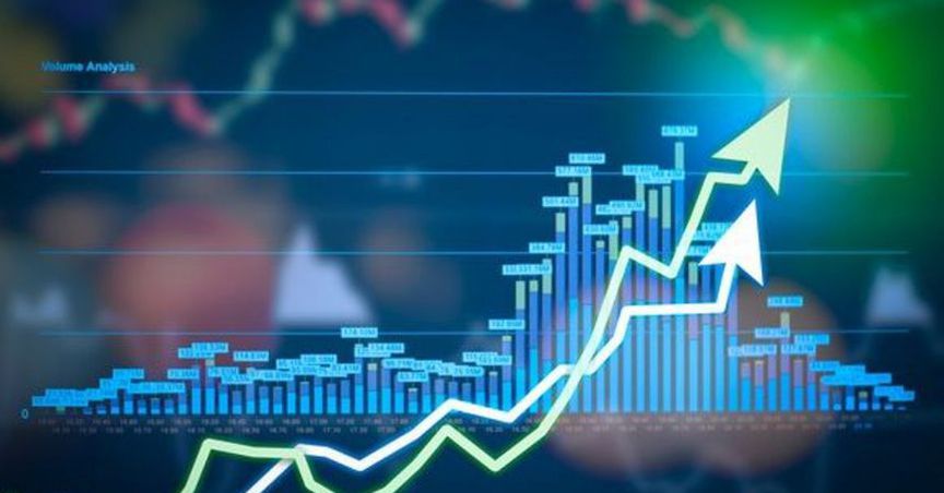  PEX Share Price Hiked By 40% After An Overwhelming Zinc Exploration Result 