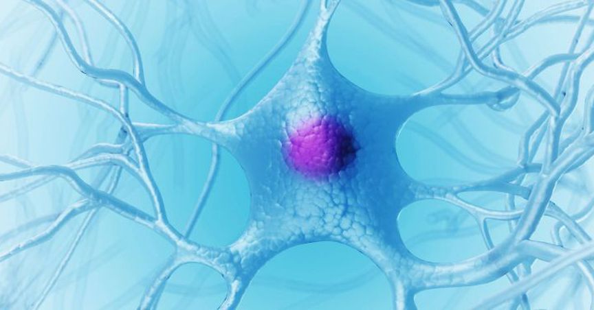  Phosphagenics In Red With News Release On Change Of Directorship 