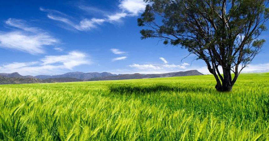 A Flick Through Fertiliser Feedstock Explorer, Parkway’s FY2018-19 Annual Report