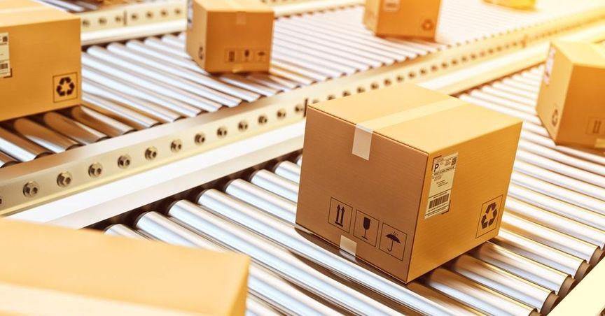 What Does the Latest (ASX:ORA) Update Mean For Packaging Sector Players On The ASX 100 And ASX 200?