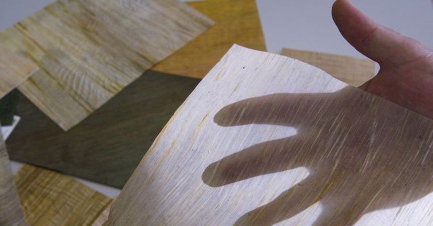 Papyrus Australia Ltd updates regarding the legal proceedings