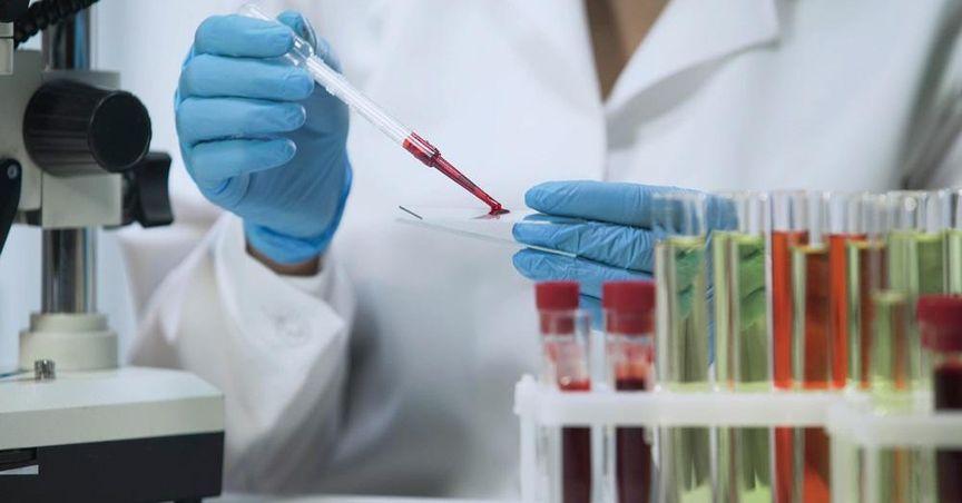  Hemogenyx Pharmaceuticals Prepares for Phase I Trial 