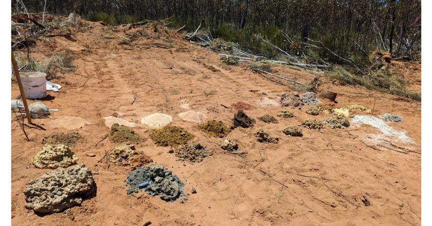  Catalina Resources (ASX:CTN) lands anomalous REE and lithium drill assays at Dundas 