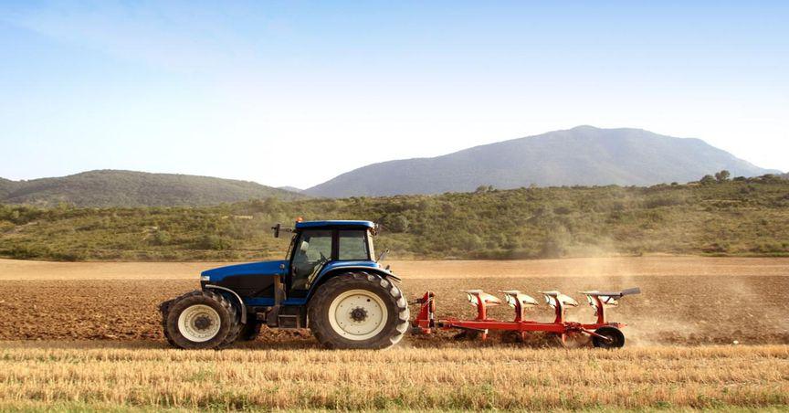  AHF, RIC, DBF: How these ASX agriculture stocks are faring? 