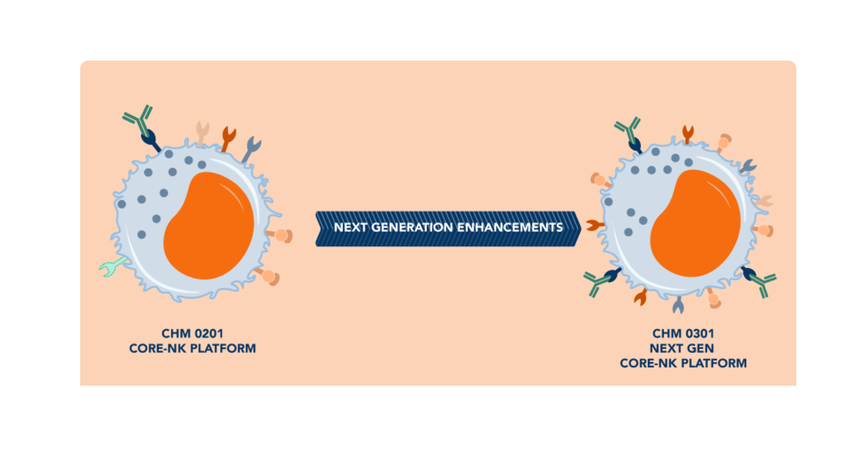  Chimeric Therapeutics (ASX: CHM) shares encouraging in vitro data for next-gen NK cell platform 