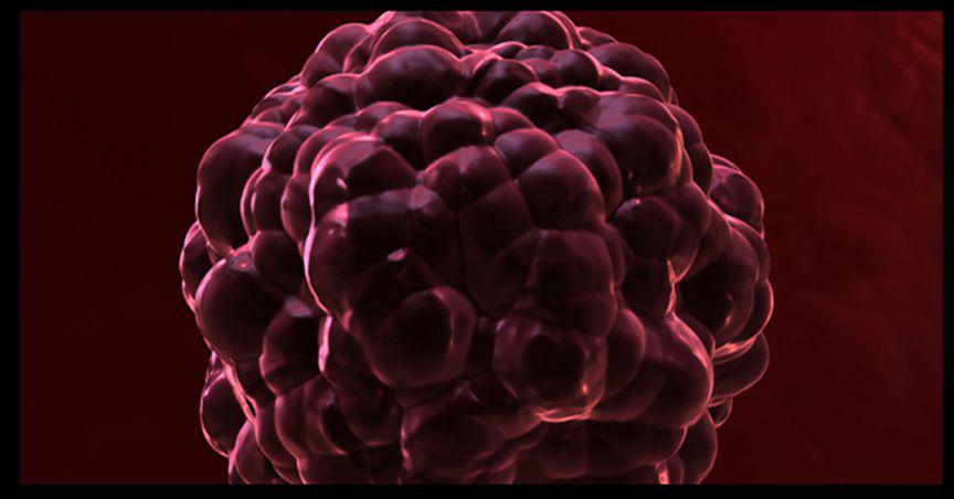  Radiopharm (ASX:RAD) hails release of DUNP19 cancer study in prestigious scientific journal 