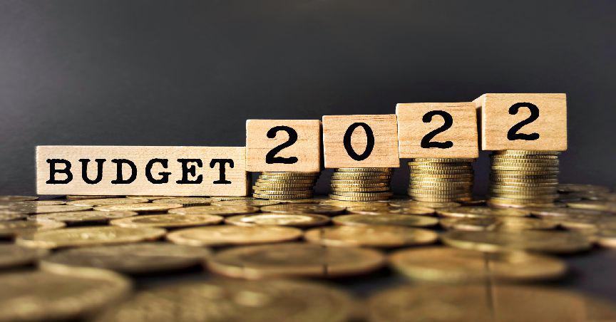 Treasurer Chalmers presents his first budget - Details inside