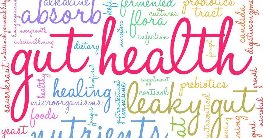  Want to improve your gut health? MediKane’s NutriKane R is here to help 