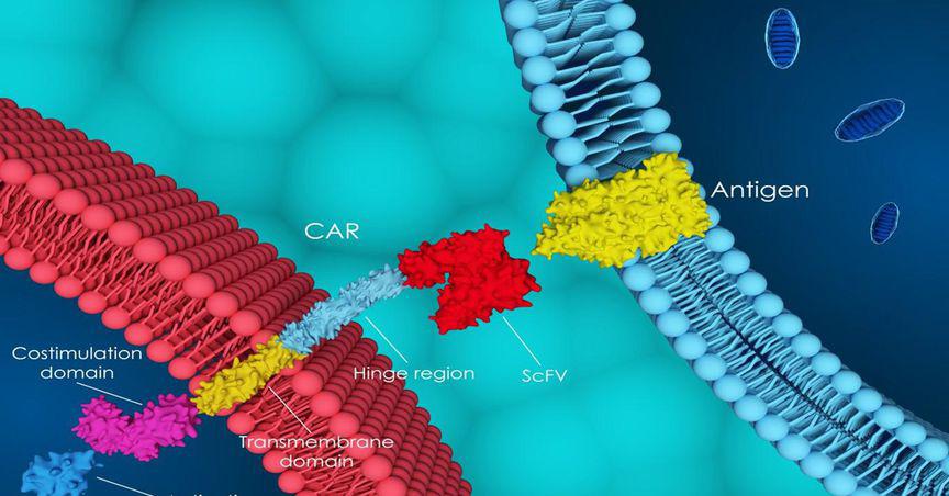  How this small-cap ASX biotech bolstered its cancer leadership position in 2022 