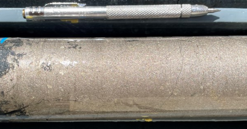  Raiden (ASX:RDN) reports further Ni-Cu sulphide mineralisation at Mt Sholl 