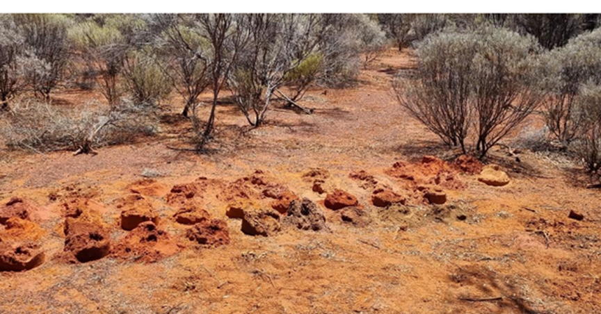  Empire Resources (ASX:ERL) receives ‘excellent’ final drill assays from Penny’s gold project 