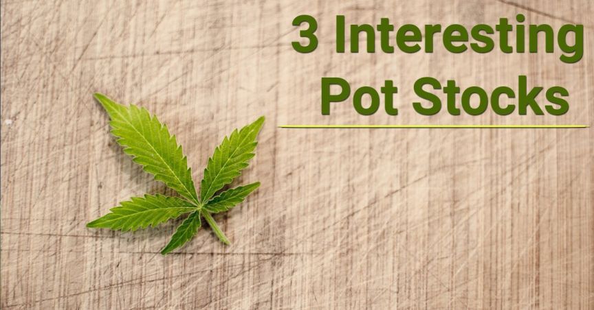  3 Interesting Pot Stocks - CAN, EXL, MDC 