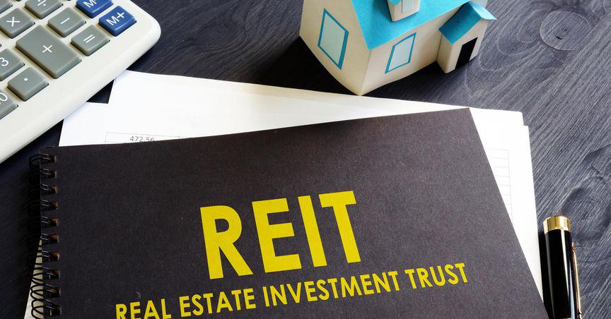  5 prominent REIT stocks listed on NZX 