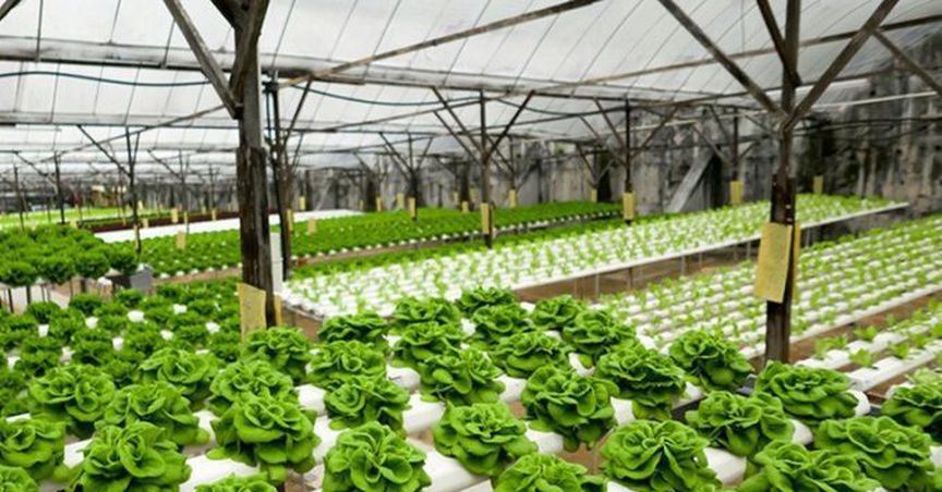 Roto-Gro Announced First Delivery And Installation Of 24 Rotogro Systems For Miracle Valley