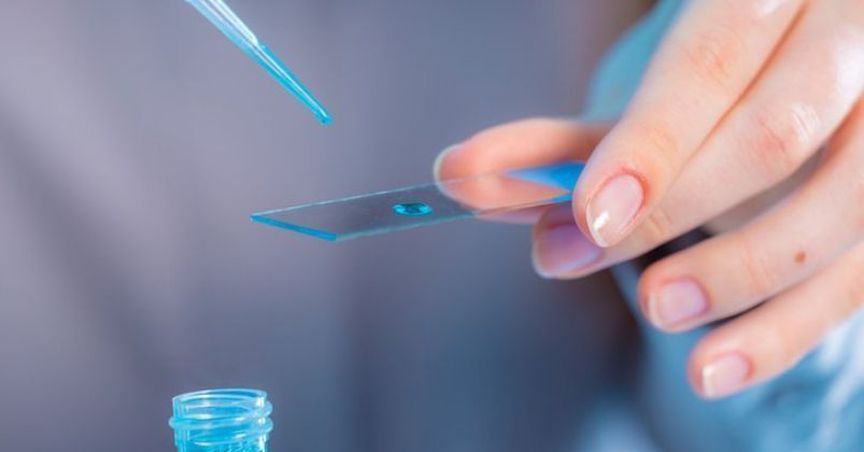Sonic Healthcare Posted 9% Revenue Growth For H1 FY19