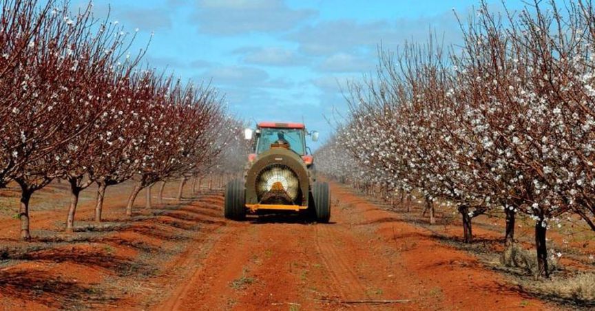  A Glimpse Into Select Harvests’ AGM Presentation 