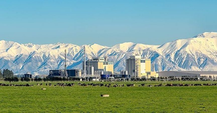 Dairy Products Company, Wattle Health Australia Moves One Notch Up For Better Market Share