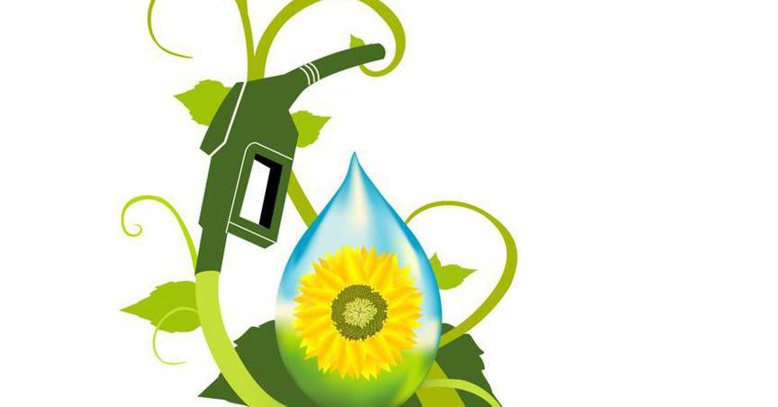  Is green gas a good option for your home or business? 