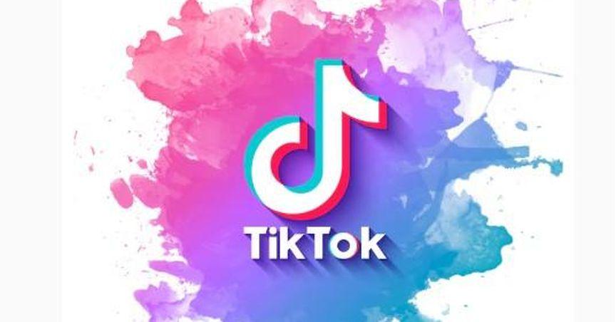  The Business Value of TikTok Likes in 2026 