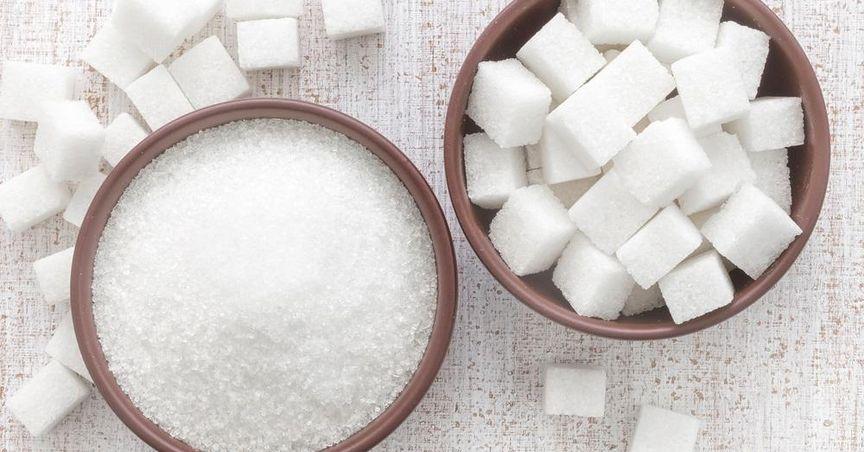  Is Rogers Sugar Facing Challenges in Fiscal Growth? 