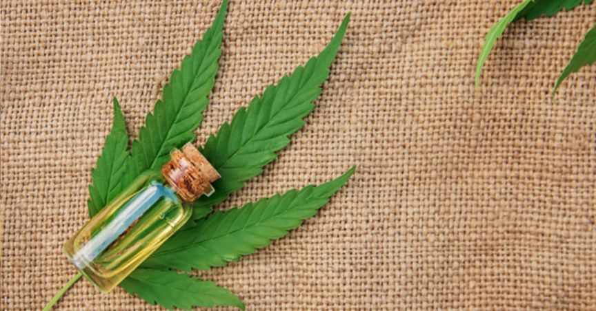  THC Global: Cannabis Ops Secures Export License; Signs Land Lease Agreement With EVE 