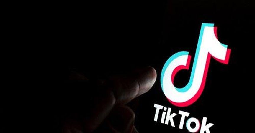  TikTok Appeals to Supreme Court Over Looming US Ban 