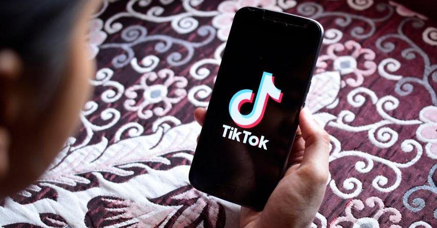  TikTok Appeals to Supreme Court Over Looming US Ban 