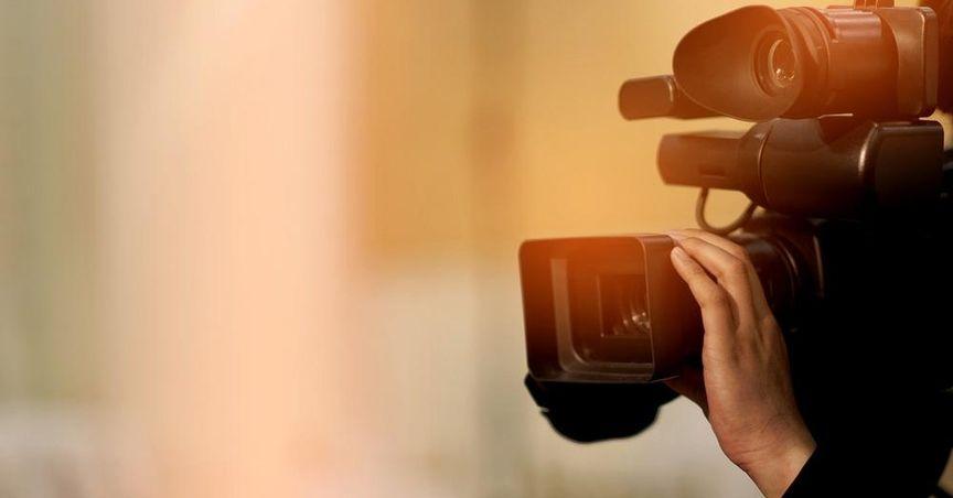  Top Entertainment Companies to Watch in September 2024 