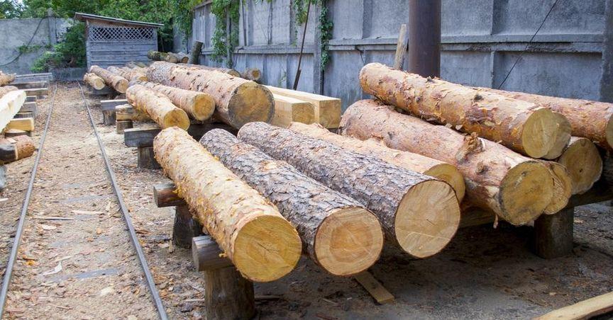  Is Acadian Timber Facing a Mixed Financial Year? 