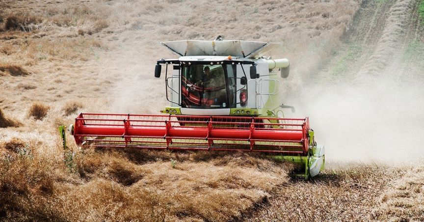 Roots Secured A A$278k Sale From Dagan For Second China Project