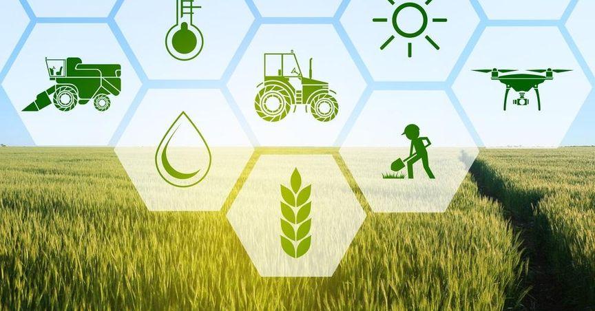 Light Science Technologies Highlights Half-Year Success