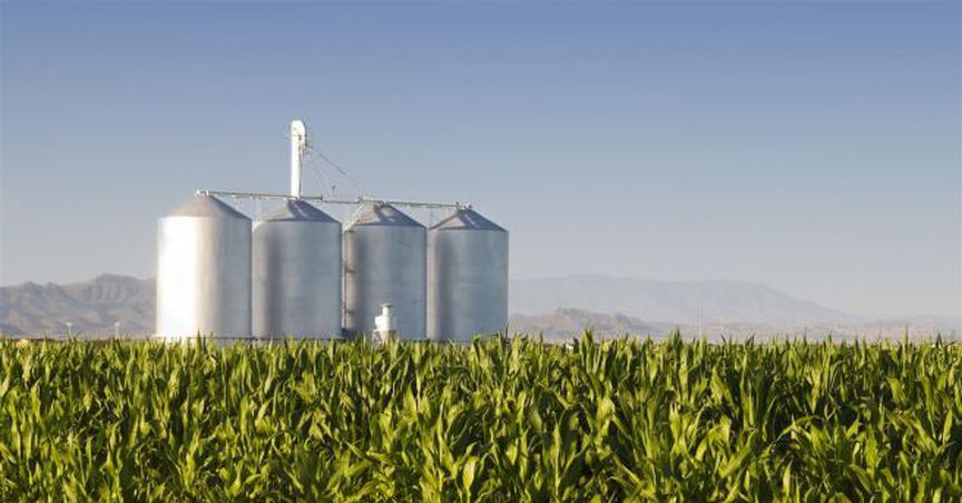 Alterra Completed Its Internal Restructure Process