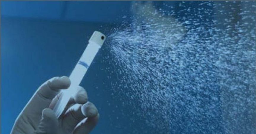  AVITA Medical Launches $3.0 Million Share Purchase Plan 