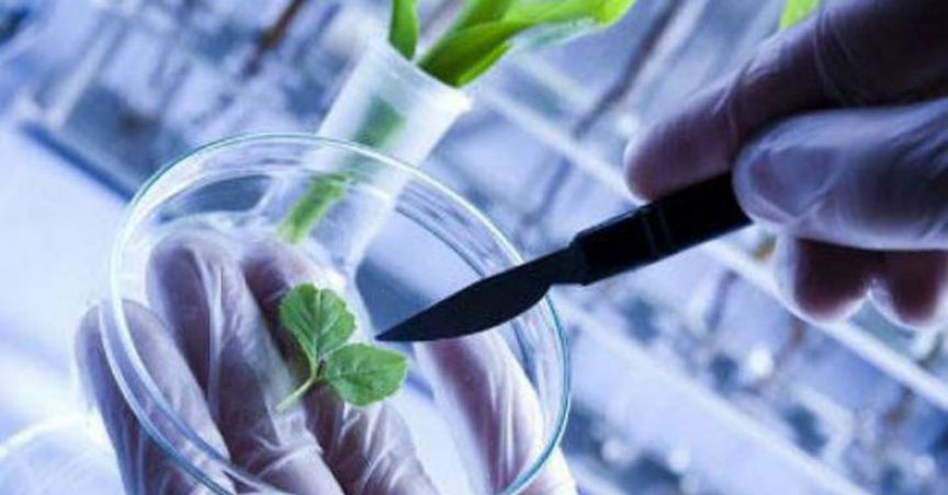 Bioxyne extends its footprint to Indonesia as it acquires majority ownership in an Indonesian sales company