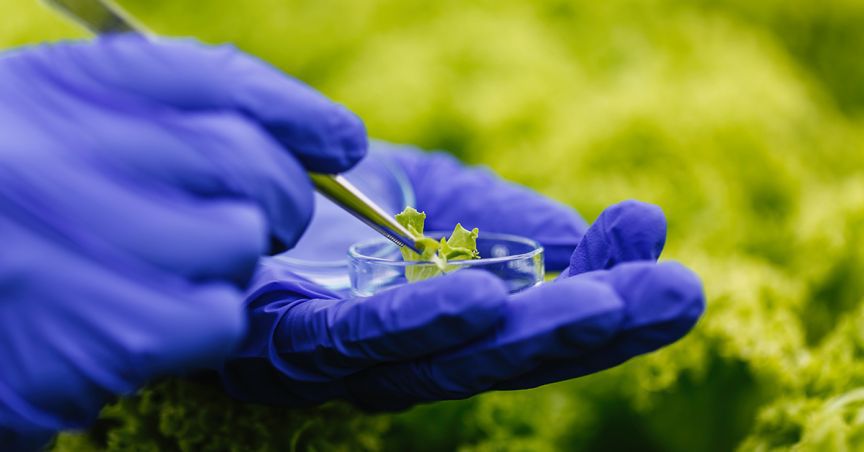  3 Biotech/Healthcare Stocks - PAR, CUV And NUH 
