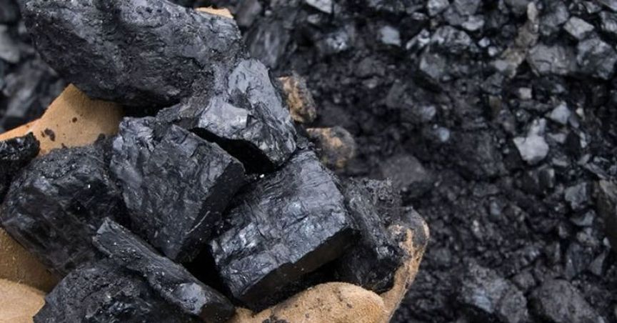  Bowen Successfully Intersected All The Target Coal Seams at Cooroorah Project 