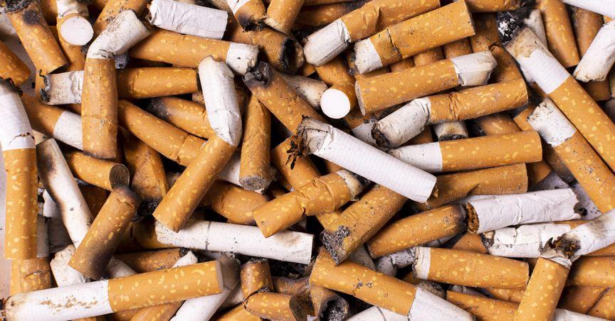  British American Tobacco's Smokeless Transition: Progress and Persistent Challenges 