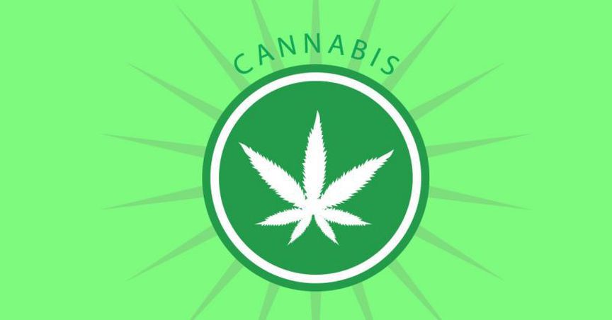  Cannabis Popularity Across Different Sectors; BOT, MXC, CAN 