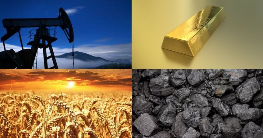  How The Commodity Market Moved In February 2019? 